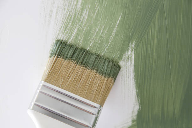 Best Mold Prevention Services  in Kingston, IL