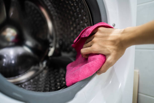 Best Mold Odor Removal Services  in Kingston, IL