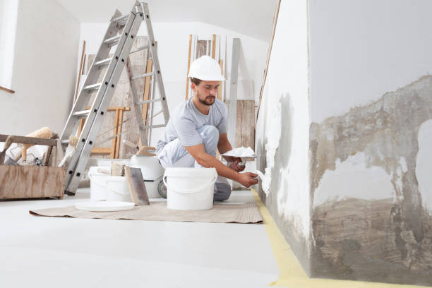  Kingston, IL Mold Removal Pros
